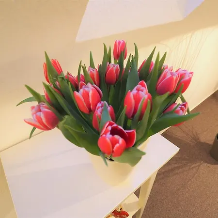 Blauort12 Apartamento