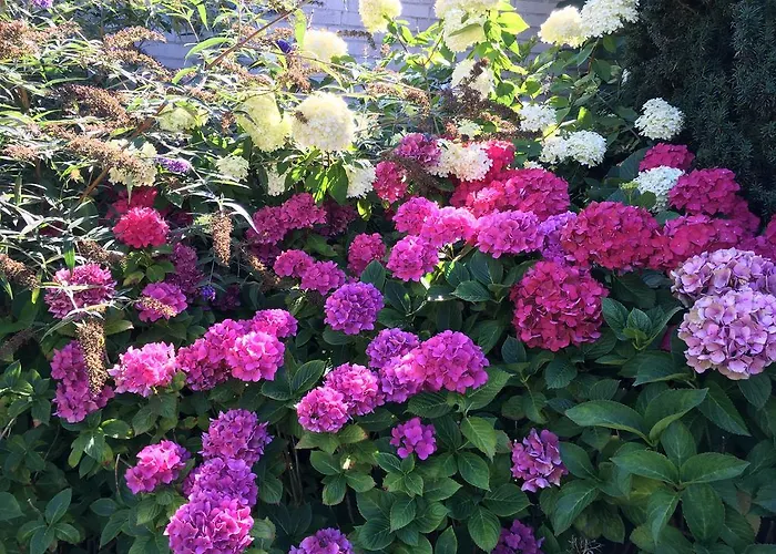 Lägenhet Blauort12 *